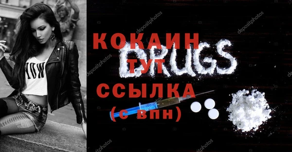 spice Аркадак