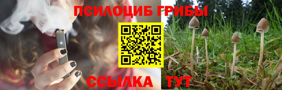 Галлюциногенные грибы мицелий Кубинка