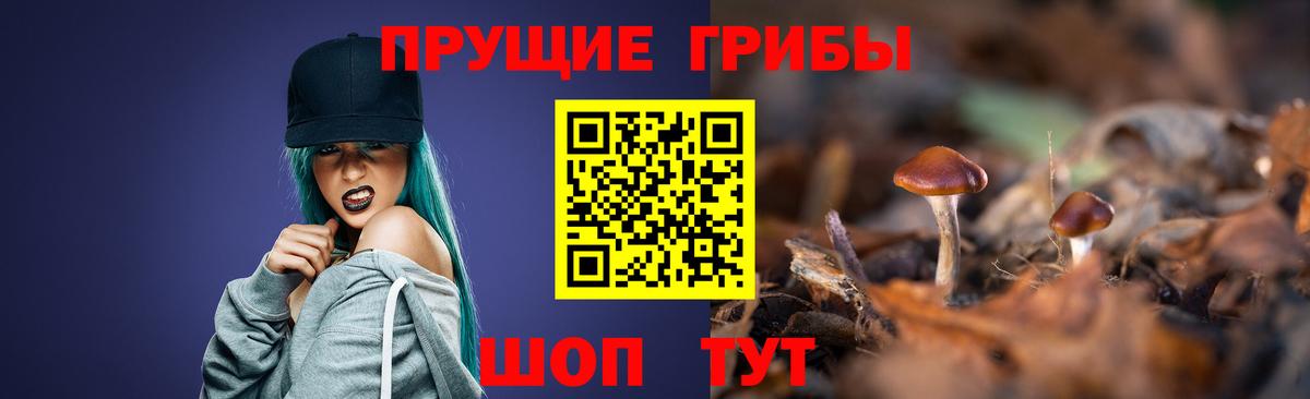 Кубинка  Галлюциногенные грибы прущие грибы  цены   Вход с VPN 